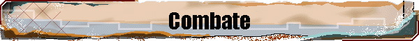 Combate