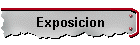 Exposicion