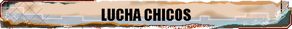 LUCHA CHICOS