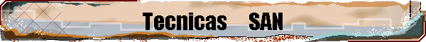 Tecnicas     SAN